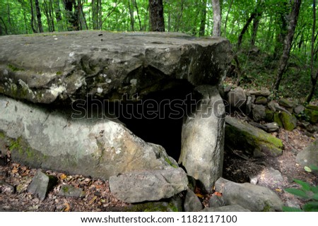 Ancient monolithic structures in the forest