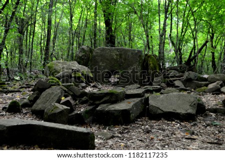 Ancient monolithic structures in the forest