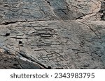 Ancient Native Hawaiian Rock Carvings Etched In Stone at Puako Petroglyph Archaeological Preserve, Hawaii Island, Hawaii, USA