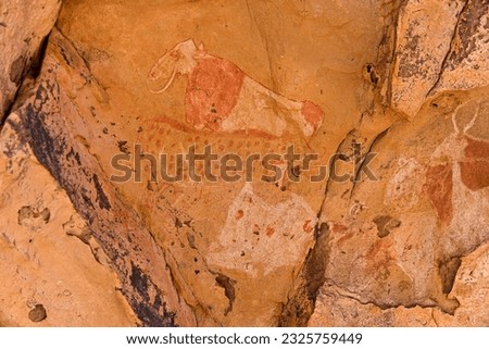 Ancient neolithic period rock engravings petroglyphs in the Sahara desert in Algeria