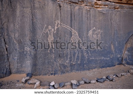 Ancient neolithic period rock engravings petroglyphs in the Sahara desert in Algeria