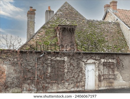 Ancient old house covered in a vine that has lost its leaves for autumnand is creeping over the front door