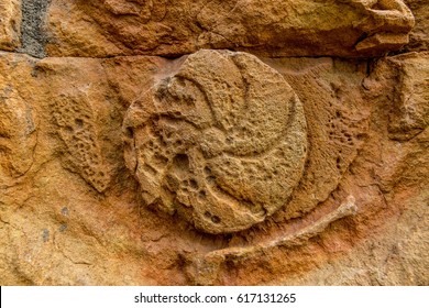 Ancient Pagan Sun Symbol Carving On Stone Wall