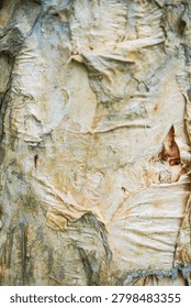 Ancient patterns on tree bark and cut wood reveal nature’s artistry, captured in close focus to highlight organic textures and timeless beauty for rustic backgrounds.