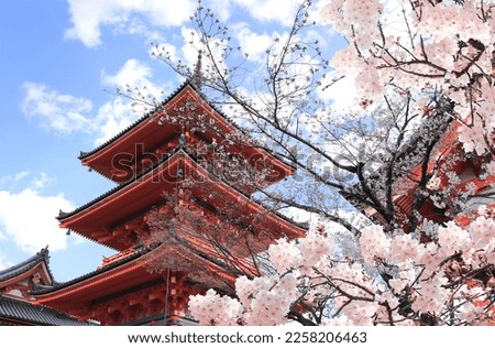 Ancient pavilion and blooming sakura branches in Fushimi Inari shrine. Spring time in Kyoto, Japan. Sakura blossom season. Cherry blossoming season in Asia. Japanese hanami festival 