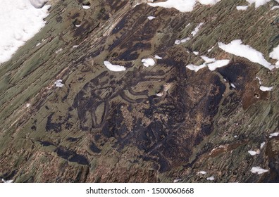 Ancient People Petroglyphs Of Wolf On The Rocks On The Bank Of River Tom In West Siberia.