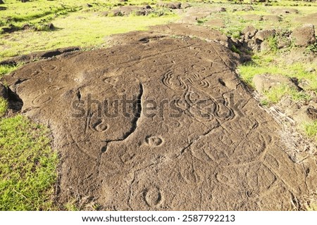 Ancient Petroglyph of Many Hooks Called Papa Mangai and Octopus or Crab at Papa Vaka Archaeological Site, Easter Island, Chile, South America