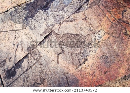 Ancient petroglyphs on the shores of Lake Onega. Carved on a granite slab. Cape Besov Nos, Karelia, Russia - August 15, 2021.  