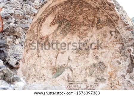 ancient picture at anamurium turkey