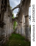 Ancient remains of the 7th-century Benedictine Jumieges Abbey, a historic landmark on the Seine, reflecting Normandy
