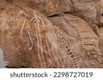 Ancient rock art at Burrungui or Burrungkuy (Nourlangie) in caves and shelters, Arnhem Land Escarpment, Kakadu National Park, Northern Territory, Australia