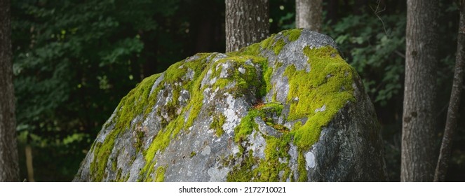Ancient rock in the forest, close-up. Moss, lichen. Björkö island, lake Mälaren, Sweden, Scandinavia. Natural pattern, background. Nature, environmental conservation, ecology, ecosystem, mineral