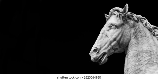 Ancient roman marble statue of an horse at the top of Capitoline Hill in Rome, dated back to the 1st century BC (Black and White with copy space)