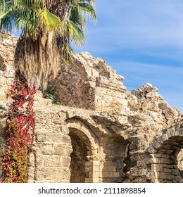 Ancient Ruins Among Tropical Plants, Antique Theater In Side, Turkey