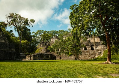 遺跡ジャングル の画像 写真素材 ベクター画像 Shutterstock