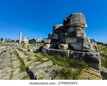 Ancient ruins and massive ionic columns of the Hellenistic Temple of Apollo at the sanctuary of Didyma in Turkey.