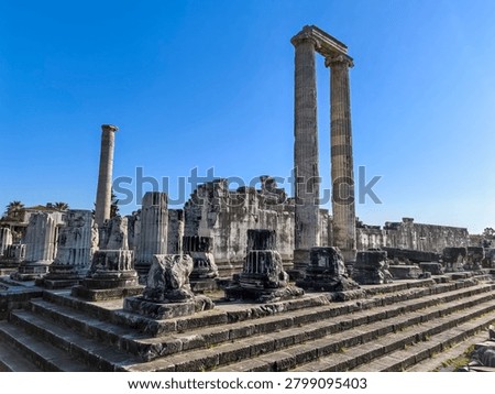 Ancient ruins and massive ionic columns of the Hellenistic Temple of Apollo at the sanctuary of Didyma in Turkey.