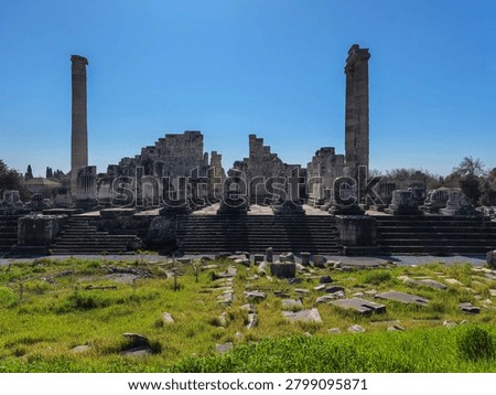 Ancient ruins and massive ionic columns of the Hellenistic Temple of Apollo at the sanctuary of Didyma in Turkey.