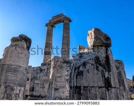 Ancient ruins and massive ionic columns of the Hellenistic Temple of Apollo at the sanctuary of Didyma in Turkey.