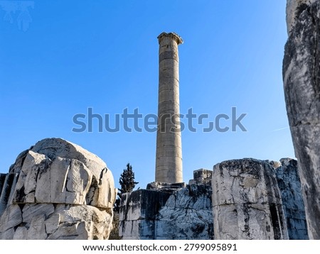 Ancient ruins and massive ionic columns of the Hellenistic Temple of Apollo at the sanctuary of Didyma in Turkey.
