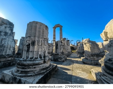 Ancient ruins and massive ionic columns of the Hellenistic Temple of Apollo at the sanctuary of Didyma in Turkey.