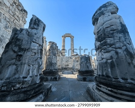 Ancient ruins and massive ionic columns of the Hellenistic Temple of Apollo at the sanctuary of Didyma in Turkey.