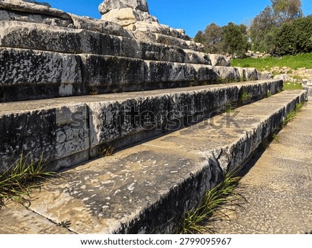 Ancient ruins and massive ionic columns of the Hellenistic Temple of Apollo at the sanctuary of Didyma in Turkey.