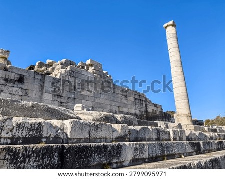 Ancient ruins and massive ionic columns of the Hellenistic Temple of Apollo at the sanctuary of Didyma in Turkey.