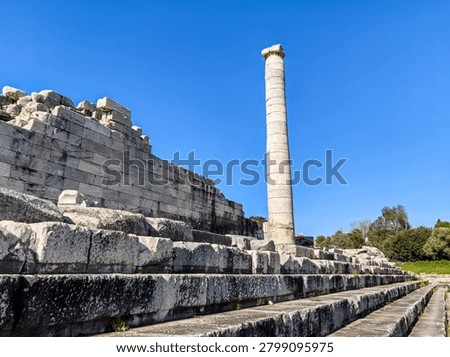 Ancient ruins and massive ionic columns of the Hellenistic Temple of Apollo at the sanctuary of Didyma in Turkey.
