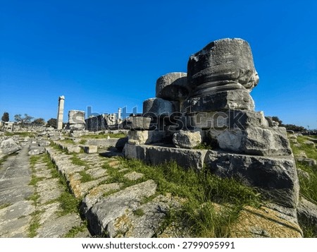 Ancient ruins and massive ionic columns of the Hellenistic Temple of Apollo at the sanctuary of Didyma in Turkey.