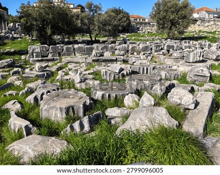 Ancient ruins and massive ionic columns of the Hellenistic Temple of Apollo at the sanctuary of Didyma in Turkey.