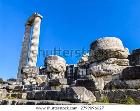 Ancient ruins and massive ionic columns of the Hellenistic Temple of Apollo at the sanctuary of Didyma in Turkey.
