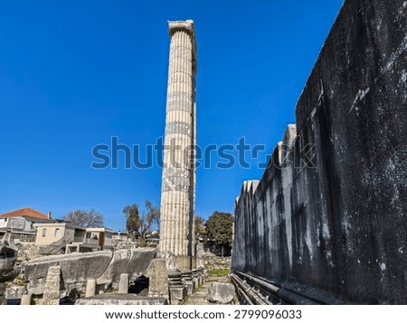 Ancient ruins and massive ionic columns of the Hellenistic Temple of Apollo at the sanctuary of Didyma in Turkey.
