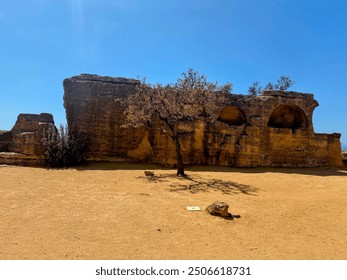 Ancient ruins under a clear blue sky in Agrigento’s Valley of the Temples, Sicily. The barren landscape and solitary tree highlight the historical and natural beauty of this UNESCO World Heritage Site - Powered by Shutterstock