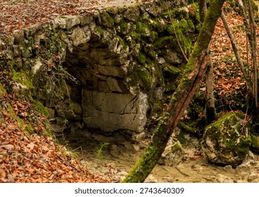 An ancient, rustic stone bridge or culvert covered in lush green moss, nestled within a serene autumn forest. The image showcases traditional dry stone masonry and a weathered archway. The ground is blanketed with fallen brown leaves, and a shallow, rocky creek bed sits beneath the structure. This evocative landscape captures the essence of European heritage, historical architecture, and the quiet beauty of nature reclaiming man-made structures in the fall season.