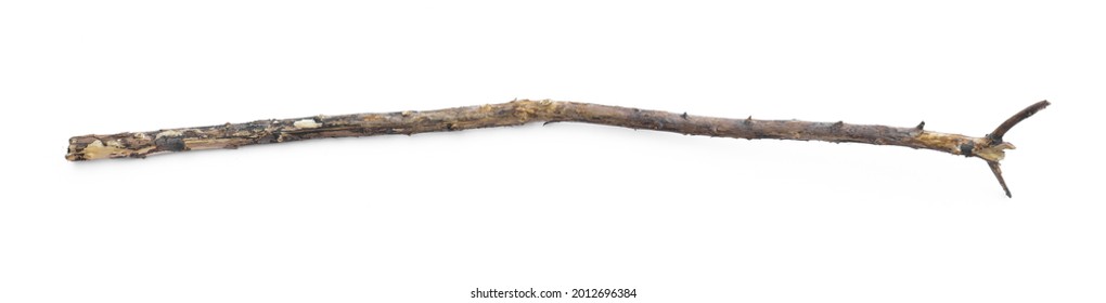 Ancient Shepherd Staff Isolated On White Background