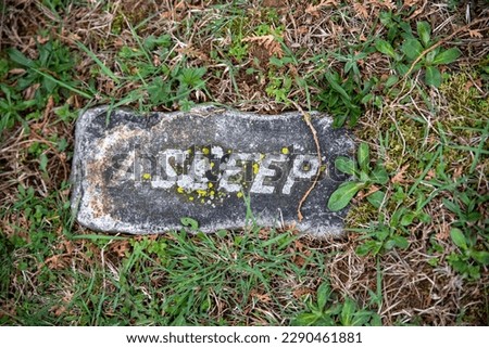 An ancient small grave marker in a green grass cemetary weathered gray stone reads ASLEEP. No people, with copy space.