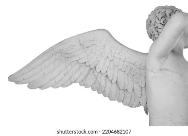 Ancient statue. Wing of angel. Statue detail isolated on white background with clipping path - Powered by Shutterstock