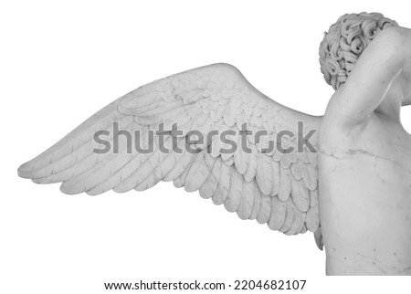 Ancient statue. Wing of angel. Statue detail isolated on white background with clipping path