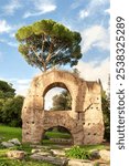 An ancient stone arch with a lush green tree growing directly behind it, set against a bright blue sky, blending historical ruins with nature in a scene ,Rome.