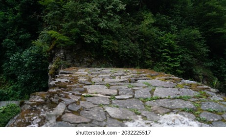An ancient stone bridge in the mountains disappears into dense greenery on a summer evening. Ancient natural stone road in the wilderness