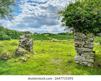 Ancient stone gateposts stand as timeless sentinels in a vibrant green field in rural Ireland.