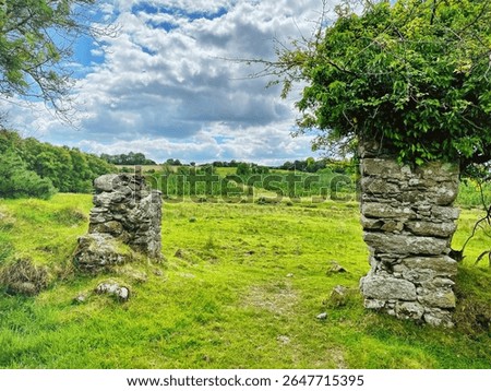 Ancient stone gateposts stand as timeless sentinels in a vibrant green field in rural Ireland.