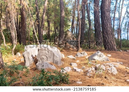 ancient stone with a pattern among the forest at the site of the abandoned antique city of Phaselis, Turkey