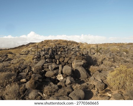 Ancient stone structure or wall made of black volcanic rocks in a desert field.