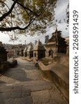 Ancient Temples Inside The Pashupatinath Temple, Nepal