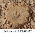 an ancient  three-toed theropod dinosaur footprint on a ledge above the  buckhorn draw scenic byway in the northern san rafael swell near green river, utah