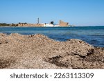 Ancient tonnara and Sveva tower in the Vendicari Nature Reserve wildlife oasis, located between Noto and Marzamemi, Sicily, Italy.