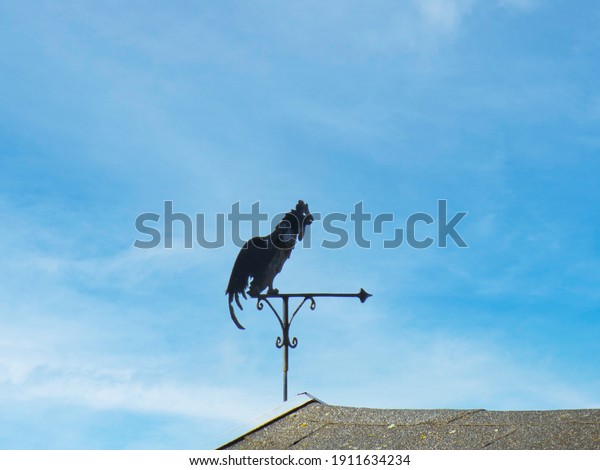 An ancient\
weather vane in the shape of a rooster over the roof of a house\
against the background of a windy\
sky.