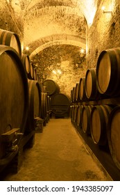 Ancient wine cellar with rows of wooden wine barrels
